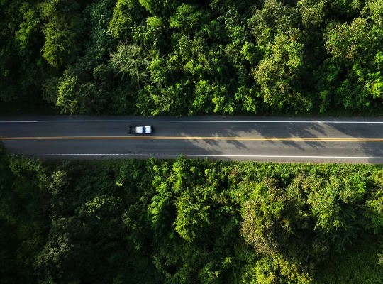 Kostenloser Leitfaden: EUDR-Softwarekriterienkatalog